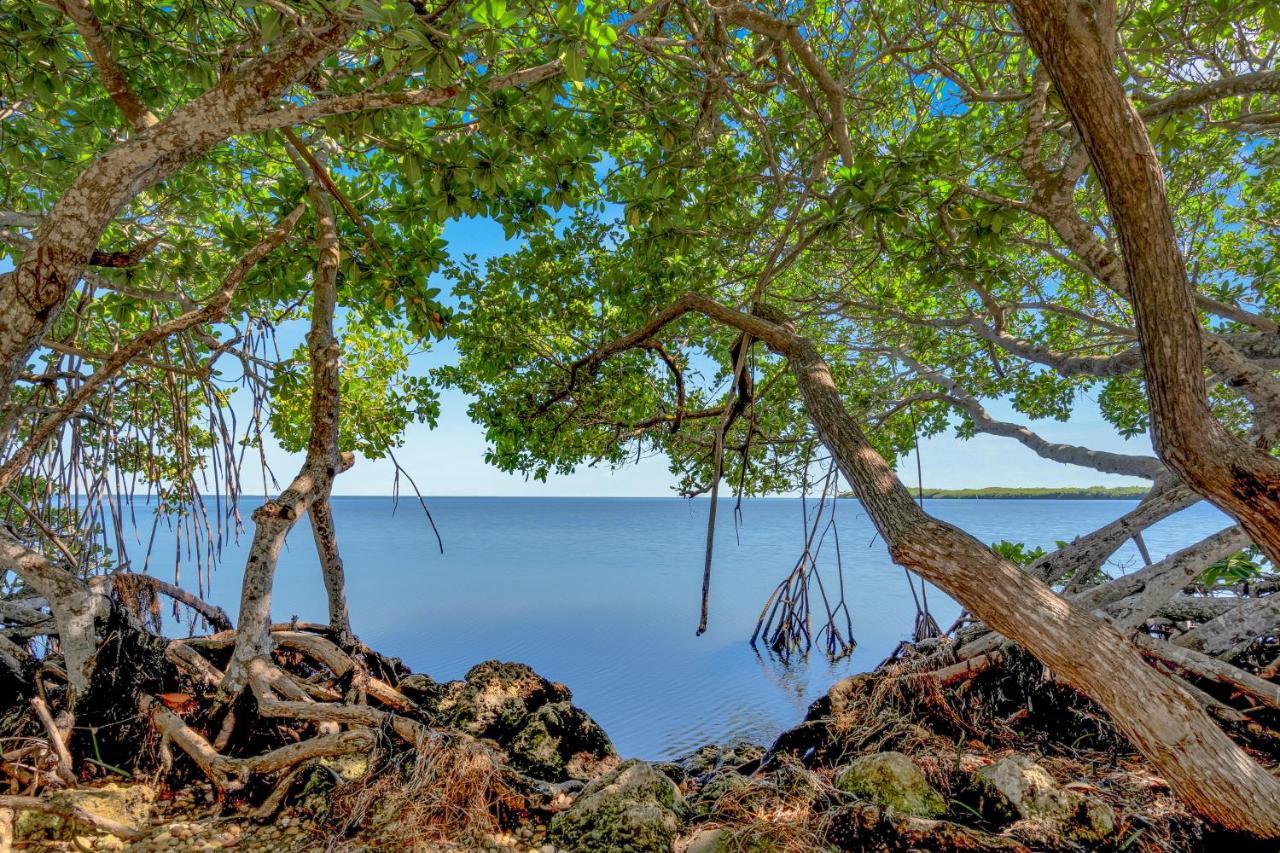 Dove Creek Resort & Marina, Trademark Collection By Wyndham Key Largo Bagian luar foto